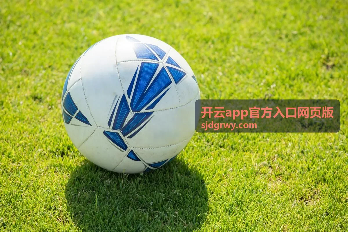 开云app官方入口网页版功能分区说明配图