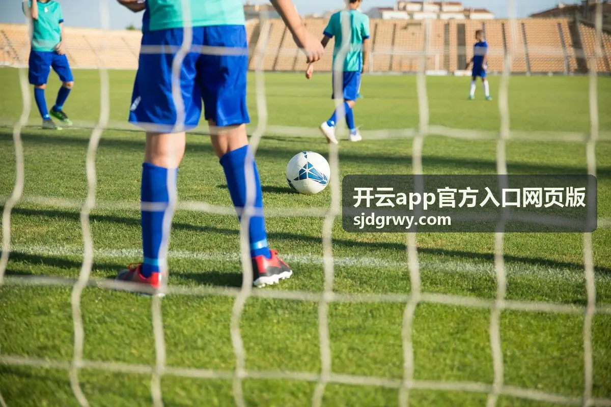 开云app官方入口网页版网页版与移动端使用方式对照配图